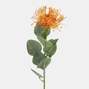 Kvet Protea 45cm, KT