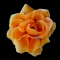 Ruža francúzska, hlava 13 cm